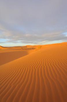 12Merzouga_07.jpg