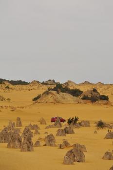 12Pinnacle_05.jpg