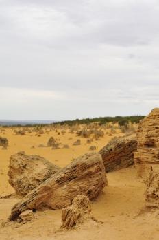 12Pinnacle_06.jpg