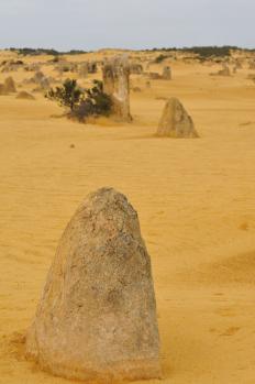 12Pinnacle_07.jpg