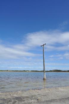 12Rottnest_10.jpg