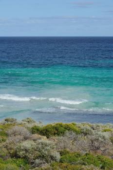 12Rottnest_14.jpg