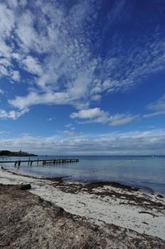12Rottnest_19.jpg