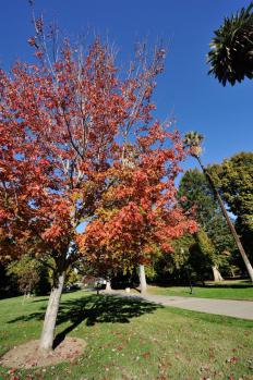 12Sacramento_01.jpg