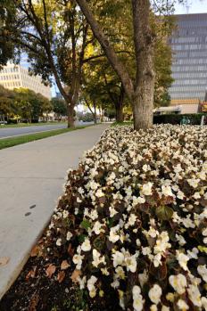 12Sacramento_05.jpg