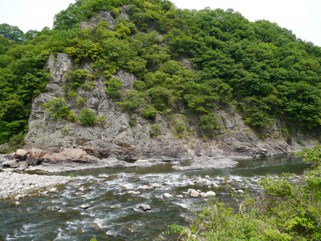 P1010059.jpg