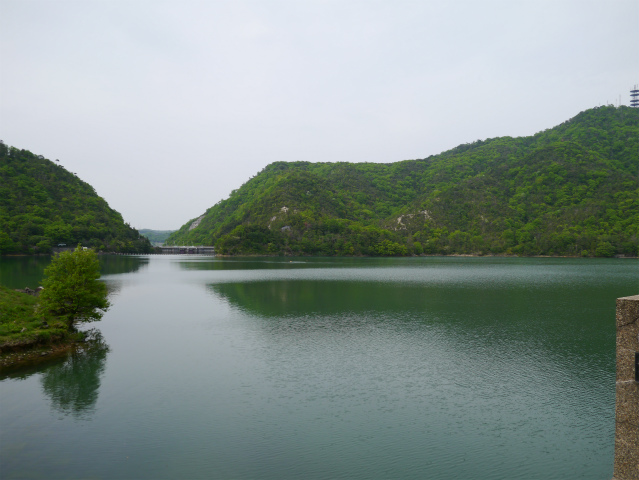 P1010075.jpg