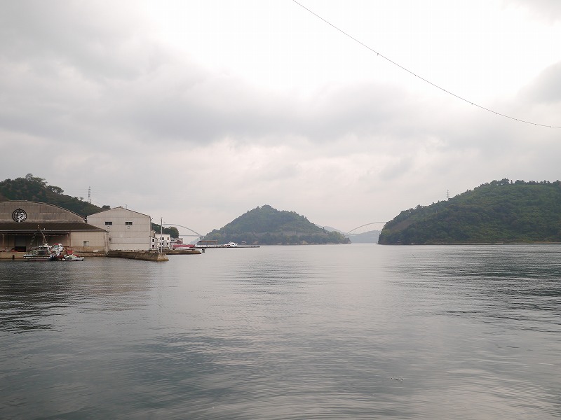 P1010762.jpg