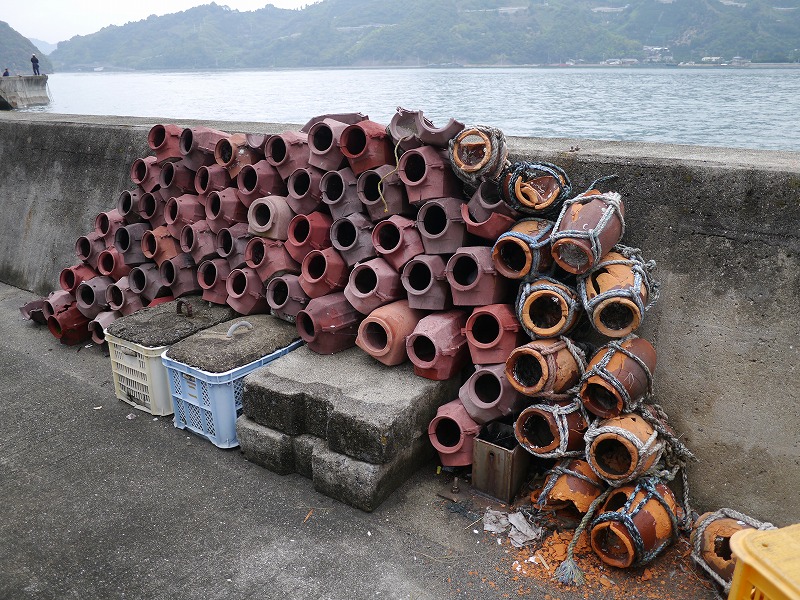P1010765.jpg