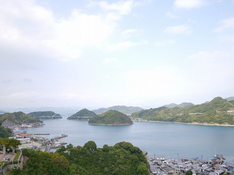 P1010843.jpg