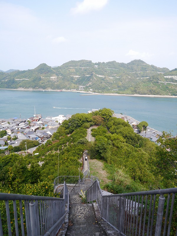 P1010847.jpg