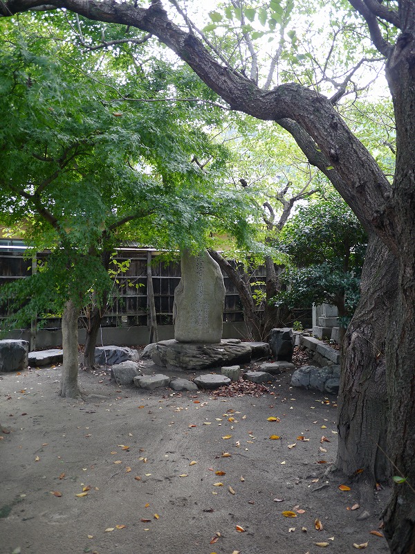 P1010852.jpg