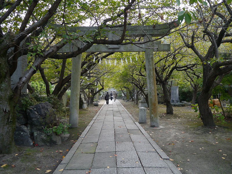 P1010853.jpg