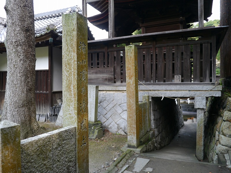 P1010854.jpg