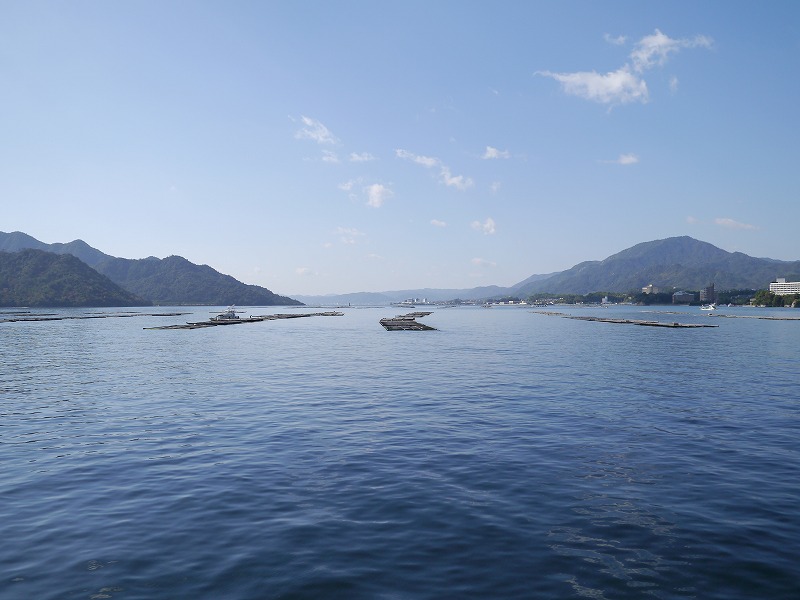P1020039.jpg