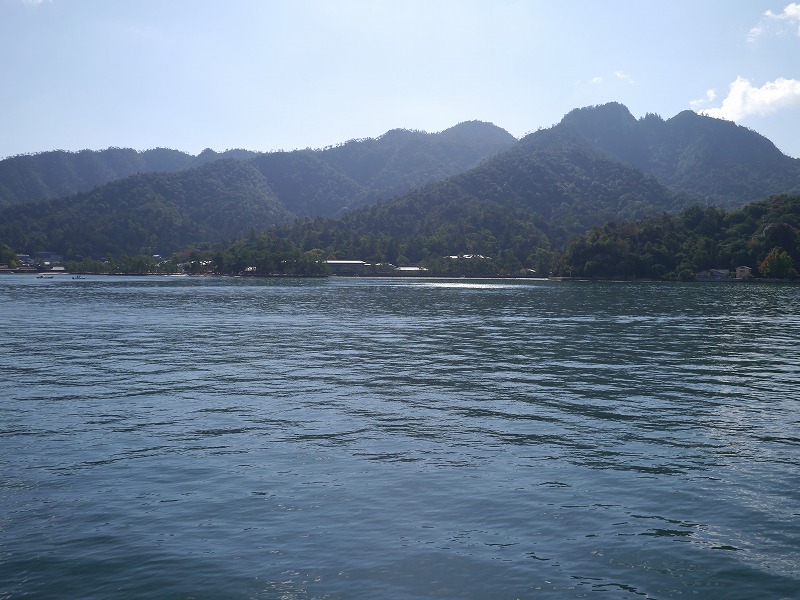 P1020043.jpg