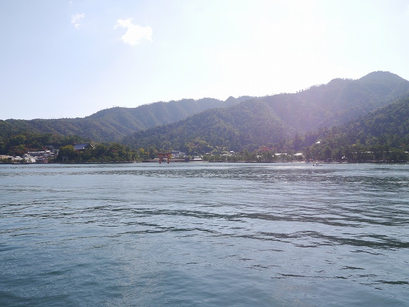P1020048.jpg