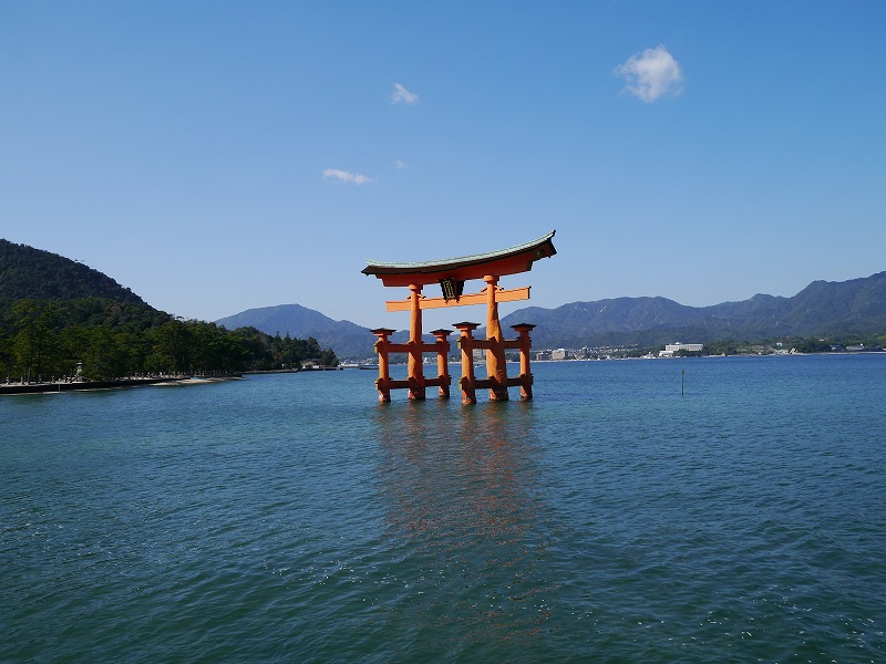 P1020065.jpg