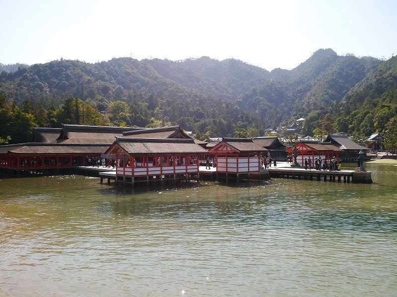 P1020069.jpg