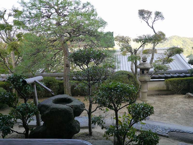 P1020113.jpg