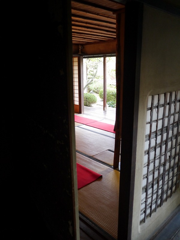P1020125.jpg