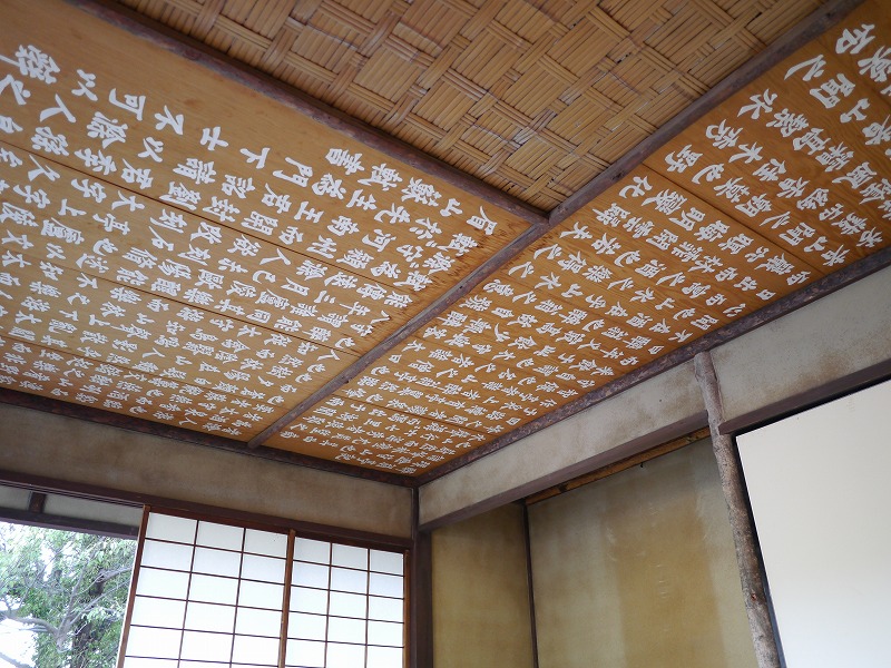P1020129.jpg