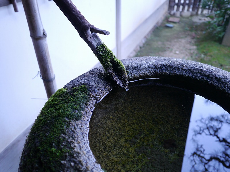 P1020142.jpg