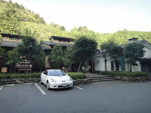shima_seiryu_01.jpg