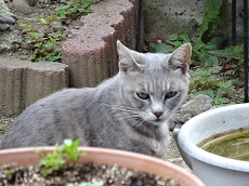 DSC03612.jpg