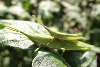 DSC03699.jpg