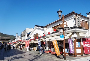 DSC03884.jpg