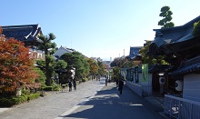DSC03887.jpg
