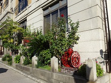 DSC03935.jpg