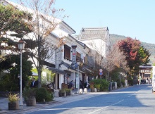 DSC03950.jpg