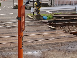DSC04358.jpg