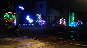 DSC04515.jpg