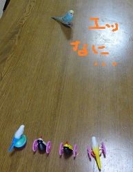 DSC04586.jpg