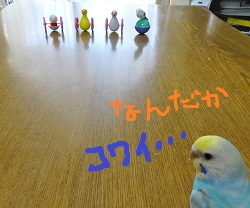 DSC04587.jpg