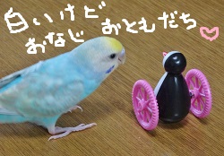 DSC04594.jpg
