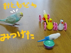 DSC04599.jpg