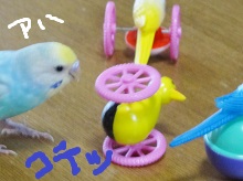 DSC04610.jpg