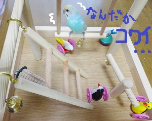 DSC04624.jpg