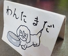 DSC04736.jpg