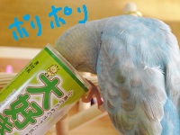 DSC04806.jpg