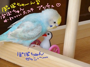 DSC04813.jpg
