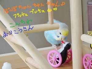 DSC04816.jpg