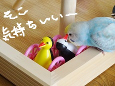 DSC04830.jpg