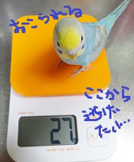 DSC04832.jpg