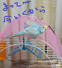 DSC04842.jpg