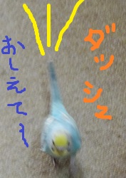DSC04871.jpg
